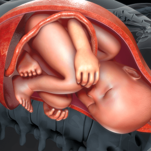 Illustration of baby in uterus